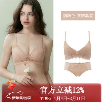 Gainreel best selling french lace sexy underwear pure desire small breast push up underwear women's thin wireless bra set smoke pink bra set 75a (if the set is photographed, the underwear matches m)