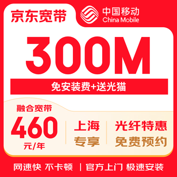 China mobile shanghai mobile broadband 499/year 300m king kong