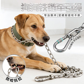 Halodn 304 stainless steel dog chain, large dog, medium dog, small dog, iron chain collar, dog leash, anti-bite bulldog dog leash, 2mm*1.5m (suitable for small dogs under 12 pounds), three-piece set with collar handle, after-sales service package for chain breakage