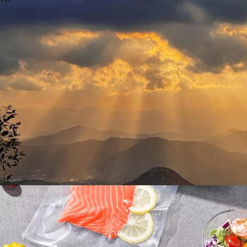 Yusenyi sealing machine vacuum machine small household food dual-purpose fresh-keeping sealing and drying wet packaging bag black