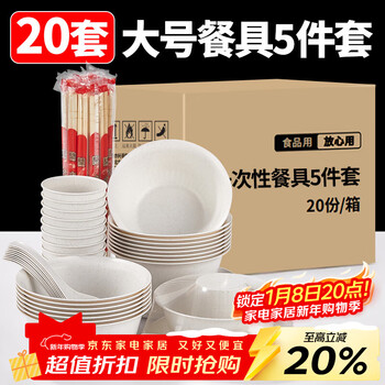 Youao disposable tableware set for 20 people, plates, bowls, chopsticks, cups and spoons, large thickened 5-piece set for partying, no-wash