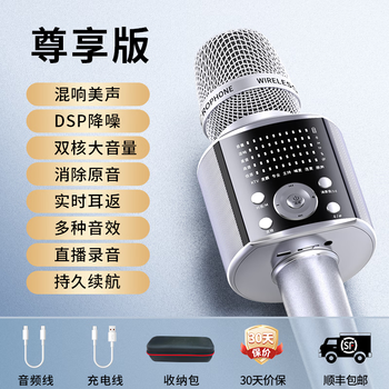 Ukyk german quality berlin voice quality microphone audio integrated microphone home karaoke outdoor wireless bluetooth speaker sound card singing live broadcast family ktv exclusive version