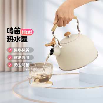 Tuojin imported quality outdoor large-capacity gas kettle from germany, whistle kettle, stainless steel boiling water for tea, off-white 1ml 2.5l