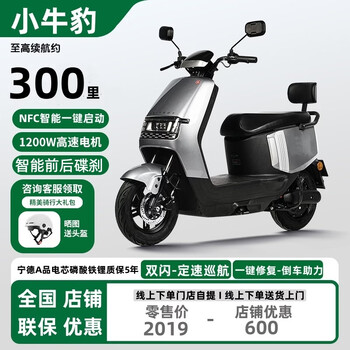 Maverick leopard xindi brand 2026 new mobile phone smart men and women electric high endurance 60v72v electric motorcycle student mobility scooter battery car meituan takeaway car electric motorcycle true smart nfc-premium gray naked bike 48v60v72v (consult customer service)
