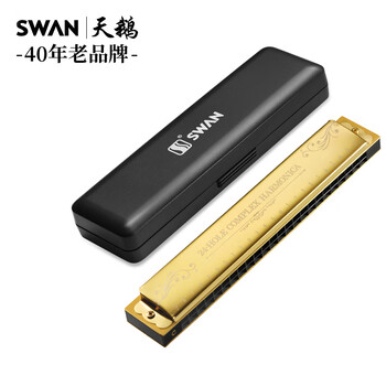 Swan (swan) harmonica 24-hole polyphonic c key phonetic notation musical instrument student adult professional playing harmonica gold
