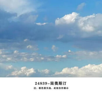 Yusenyi french medium and black black and white living room background decorative painting, floor-to-ceiling ancient wall high-end covered sofa soft decoration large size zsh24839 jane austen givenchy aluminum alloy frame-plexiglass single frame price purely handmade frame 50x70cm