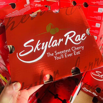 Spot 4kg skylarrae sky city yellow car golden cherry 2j3j rainier skylarrae black swan 4kg (net weight) 4kg j (26-28mm)