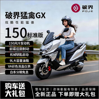 Breaking new 2025 new breaking raptor gx150 two-wheeled large pedal fuel motorcycle national iv efi national license plate matte gray raptor gx150 high-end version 12v