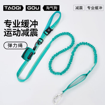 Naughty dog explosion-proof elastic buffering leash for medium and large dogs multifunctional adjustable waist leash crossbody dog walking rope mint green - free toilet bag xl - length 210-350cm width 2.5cm