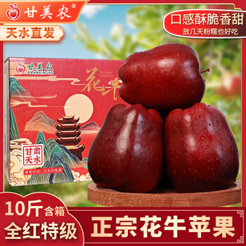 Ganmenong authentic tianshui huaniu apple gift box snake red fruit black diamond apple crispy sweet powder noodle food supplement sf optional 8.5 jin medium and large fruits 17-18 (single fruit 230g+)