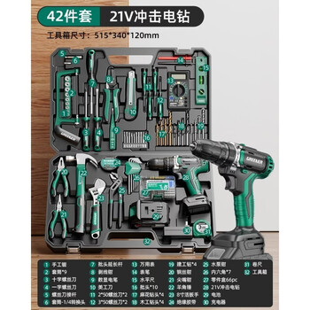 Green forest hardware toolbox set daily household multifunctional repair electrician special vehicle repair combination complete set 21v impact lithium electric drill - all-purpose 42-piece set