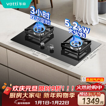 Vantage bilateral timing + nanotechnology panel gas stove natural gas embedded small size 5.2kw fierce fire gas stove double stove stove i10101d
