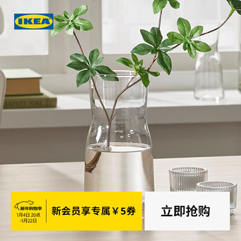 Ikea (ikea) tidvatten small fresh transparent glass vase decorative desktop ornaments bottle transparent glass vase 30cm
