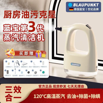 German blaupunkt steam cleaner high temperature oil stain removal household multi-function