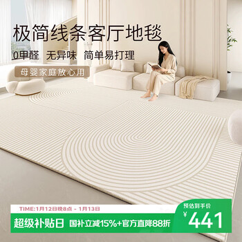 Qimian belgian velvet living room carpet, stain-resistant, non-slip and easy to care for, inspirational impression, light luxury and minimalist 200*300cm