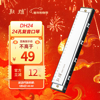 Dunhuang polyphonic 24-hole harmonica silver dh24 c key recommended for beginner teaching