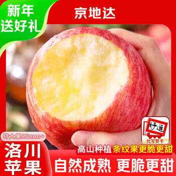 Jingdi dalochuan apple fruit shaanxi red fuji festival gift net weight 8.5 jin single fruit 85mm + direct shipping from the source