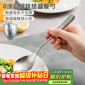 Half life pure titanium spoon outdoor spoon children's table spoon student table spoon high temperature resistant spoon household spoon long handled porridge spoon