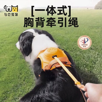 Integrated chest and back traction rope, automatic retractable vest-type harness for large dogs, border collie, orange telescopic one_safety-proof riot harness xl- suitable for 50-70 catties