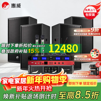 Hivi ds series conference room audio equipment complete set, large stage professional audio multi-functional conference audio ktv luxury club wall-mounted speakers (one for four microphones) set of 2 ds12*2 (applicable to 50-200 square meters) with 2 conference + 2 handheld microphones