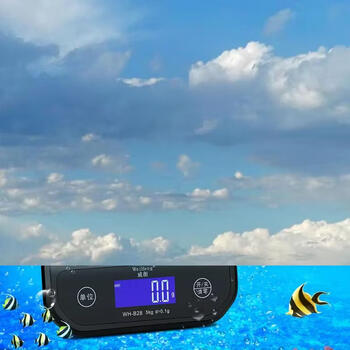 Yusenyi cooking scale baking small high-precision household scale accuracy electronic scale weighing precision scale food food grams waterproof rechargeable model 10 kg 1g