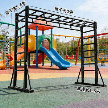 Longshi european fixed climbing frame children and adults horizontal bar fitness ladder comprehensive physical training kindergarten family indoor and outdoor 3-meter straight ladder black