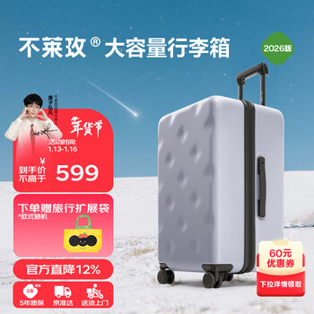 Bremen luggage jd.com cooperation trolley suitcase boarding case password leather case gray 26-inch plus