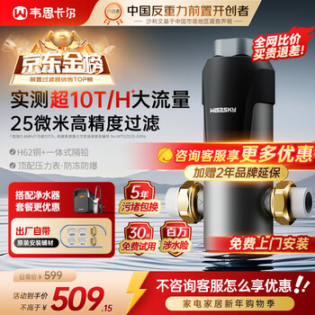 Wisesky anti-gravity pre-filter 10t/h large flux whole house household top ten 25 micron backwash explosion-proof and anti-freeze water purifier wsp-85-80t