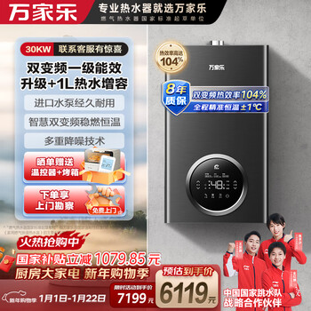 Macro infinity dual frequency first level energy efficiency condensing gas wall-mounted boiler natural gas hot water capacity increase low noise floor heating boiler water heater ll1pbd30-30r6