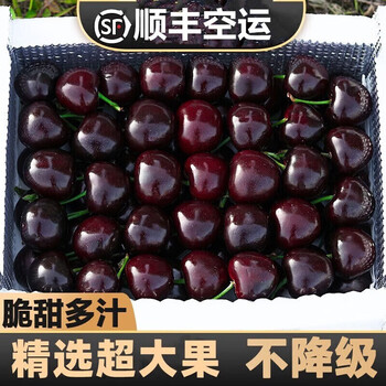 Guozhenxiu chile imported fresh cherries and large cherries for pregnant women in season fresh fruit large cherry gift box full box 1 catties (net weight) ordinary size j26mm (inclusive)-28mm (inclusive)