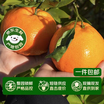 Jingxiansheng sichuan chunjian mandarin oranges, net weight 4.5-5 pounds, single fruit 210g+ new year gift box, direct shipping from the source, free shipping