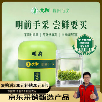 Wenxin green tea 2025 new tea handmade xinyang maojian special grade 75g mingqian canned new year tea gift