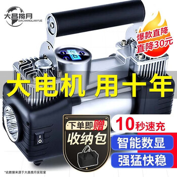 Dachang lanyue car air pump car air pump tire inflator car wired dual cylinder portable high power air pump storage bag dual 30 cylinders + automatic charging and stopping