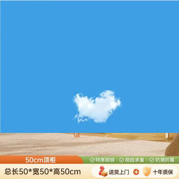 Yusenyi metal small apartment wardrobe for home rental use simple assembly for bedroom steel frame new wardrobe full storage cabinet fully sealed dustproof and moisture-proof length 50 width 50 height 50cm (top cabinet) sun panel door