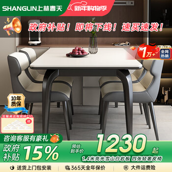 Shanglin spring solid wood slate dining table and chair combination small household rectangular dining table simple high-end restaurant furniture antibacterial matte pure white slate doll chair 1.4 meters one table and four chairs