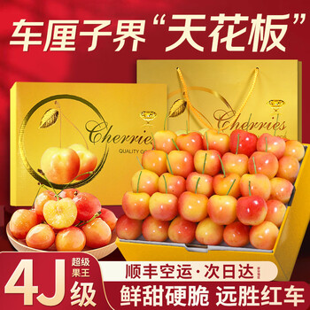 Mu xiaoqi fruit and vegetable golden cherry 5j4 jin rainier jd sf air shipping chilean cherry fruit gift box new year gift box 2 jin (net weight) highly recommended - 80% choice high-end gift box gold diamond level丨treasure of the store super fruit king 4j 32-34mm recommended*