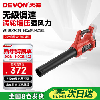 Devon 20v brushless lithium hair dryer handheld leaf blower garden machine 4707 (separate head)