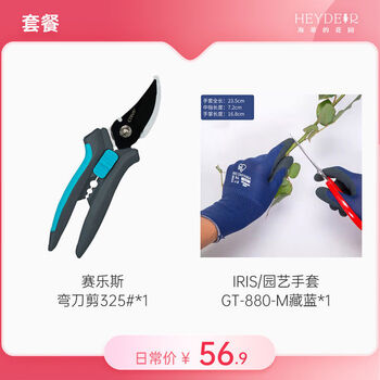 Ao yan lai sai lesi gardening pruning shears household floral rose hydrangea pruning tool scissors 325 scissors set