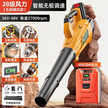 Hair dryer to blow dust, high power industrial rechargeable hair dryer, powerful lithium battery to blow leaves, super strong wind 48v hair dryer, 20ah lithium battery, long lasting life