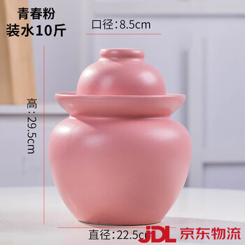 Wanzhuang jingdezhen ceramic pickle jar household sealed pickle jar sichuan old-fashioned pickle jar 10 pounds (matte youth powder) thickened - free chopsticks clip