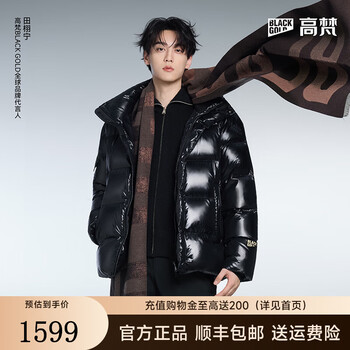 Gao fan and tian xuning same style black gold goose down jacket pioneer 5.0 five grid men's down jacket casual trendy bread jacket black m