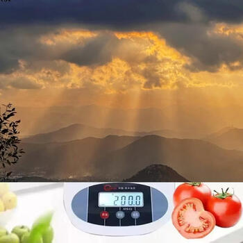 Yusenyi scale electronic scale falls kitchen kaifeng digital anti-bowl lcd scale commercial scale food scale kitchen scale 2kg0.1-bowl (battery type)