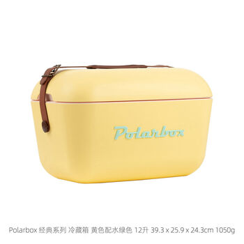 Spanish fashionable refrigerator outdoor camping insulated box car portable fresh ice pack ice bucket classic series yellow with aqua 12l9234