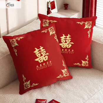 Xinjinngle wedding pillows, a pair of wedding room cushions, festive red living room sofa, happy character bed, wedding gift cushions, big days - square velvet pillows 45cm*45cm pillowcases only pillowcases