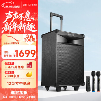 Edifier (edifier) pw312 12-inch stage outdoor mobile speaker high-fidelity square dance ktv camping electric acoustic guitar folk instrument speaker