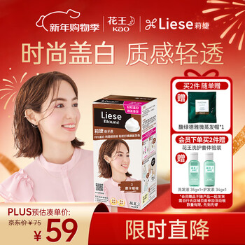 Liese foam hair dye baw13 mocha warm brown 108ml covers white hair re-dyeing at home for both men and women