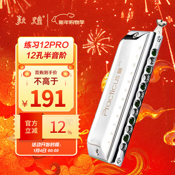 Dunhuang 12-hole filmless green grid chromatic scale practice 12pro harmonica washable silver c key recommended for beginners