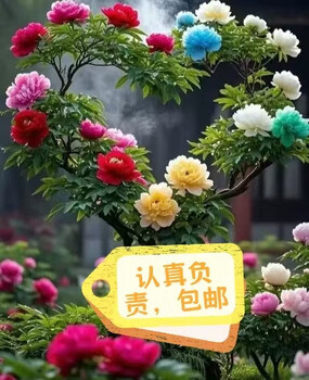 Greenlink type-c spring data cable car 6a fast charging cable extended retractable mobile phone charging cable suitable for mobile phones 66 20