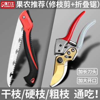 Powerful cattle pruning scissors, special pruning shears, pruning shears, fruit tree pruning scissors, labor-saving pruning shears, gardening flower branch pruning tools, fruit farmers recommend golden pruning shears + folding saw
