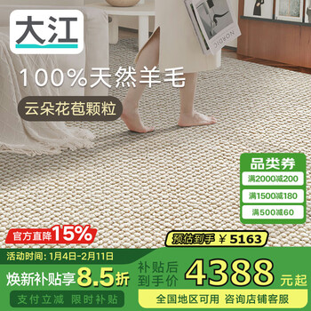 Dajiang wash-free carpet living room 100% pure wool sofa coffee table carpet bedroom large area light luxury style 200x300cm